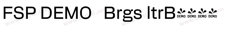 FSP DEMO   Brgs ltrB字体转换